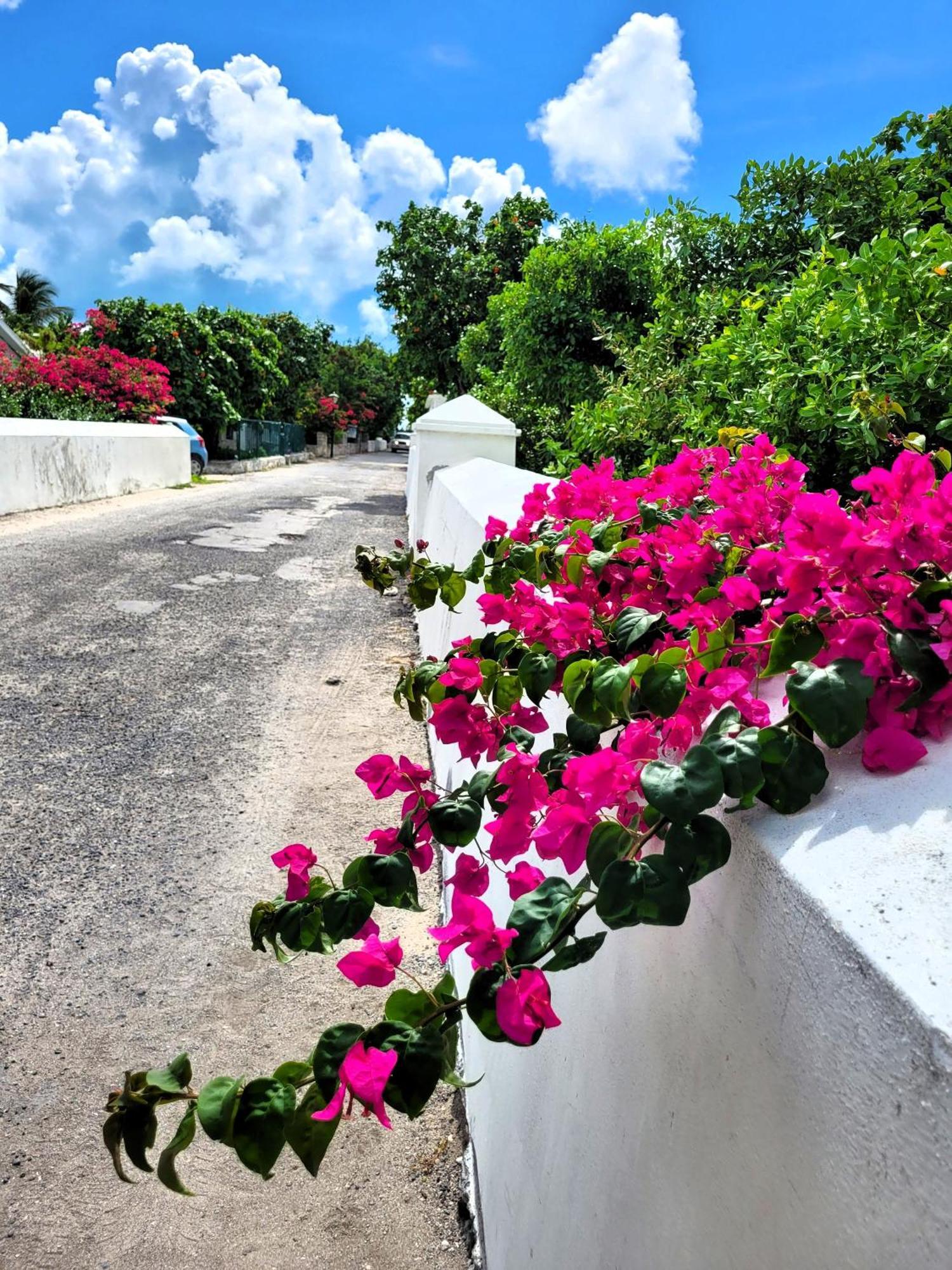 Turks Head Inne Grand Turk Buitenkant foto